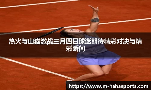 热火与山猫激战三月四日球迷期待精彩对决与精彩瞬间